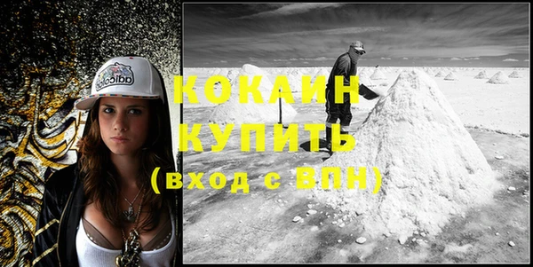 индика Снежногорск