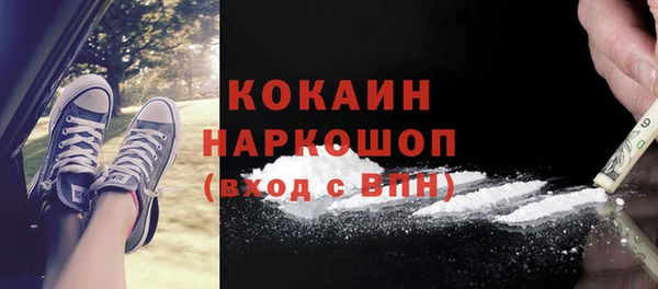 шишки Снежинск