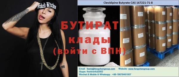 индика Снежногорск