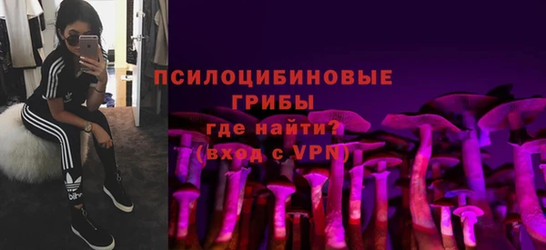шишки Снежинск
