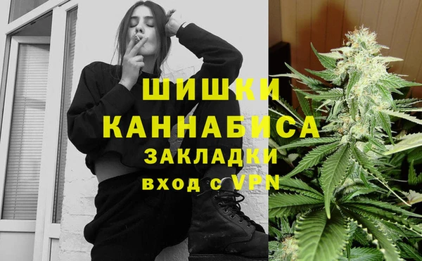 шишки Снежинск