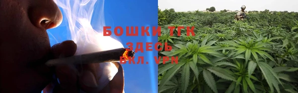 шишки Снежинск