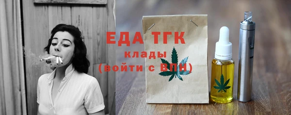 индика Снежногорск