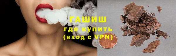 индика Снежногорск