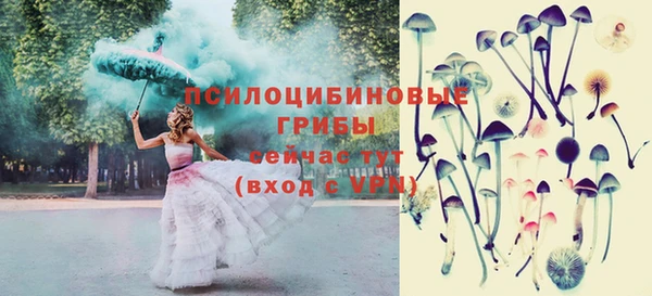 шишки Снежинск