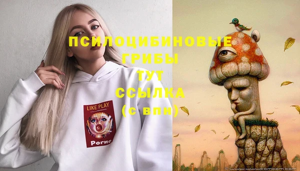 шишки Снежинск