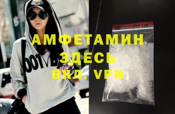 индика Снежногорск
