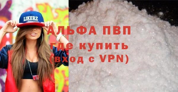 индика Снежногорск