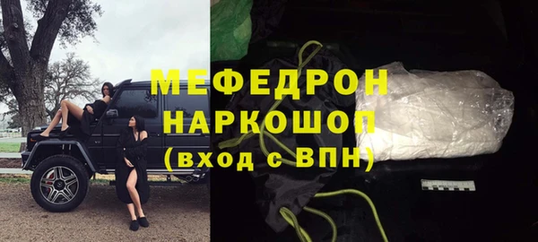 индика Снежногорск